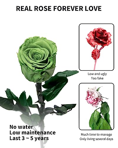 Image of Green Flowers for Delivery Prime, Preserved Green Roses Flower Gifts for Women, Real Roses Single Rose Gifts for Her, Mom Birthday Gifts from Daughter, Valentines Flowers