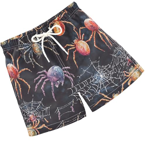 Pigsaly Boys' Swim Board Shorts White Spider Webs Colorful Spiders Boy's Swim Trunks Kids Swimwear 5T