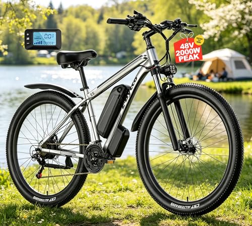 E·Bycco E8 29-Inch Mountain