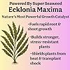 Grow Queen Organic Liquid Indoor Plant Food, Houseplant, Tropical & All-Purpose Indoor Plant Fertilizer, Organic Liquid Fertilizer 5-5-5 with Sea Kelp, 8oz Treats 50 Gallons #4