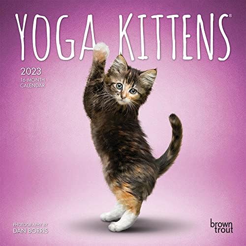 Amazon.com: LANG AMERICAN CAT™ 2023 MINI WALL CALENDAR (23991079235) :  Office Products