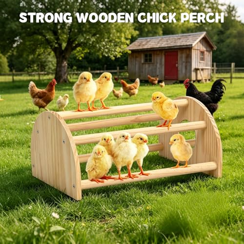 Image of Pine Chicks Perch with Mirror, Strong Chick Jungle Gym Roosting Bar, Chicken Perch Toys for Coop and Brooder, Training Perch Toys for Large Bird, Parrot, Macaw, Hens (Large)