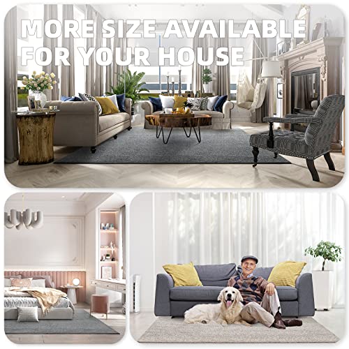 Color G Area Rugs, 3X5 Feet Bedside Rugs Floor Rugs For Bedroom, Machine Washable Extra Soft Comfortable Carpet For Bedroom, Non-Slip Small Area Rug For Kids Puppy Home Decor Aesthetic, Grey #TOP5
