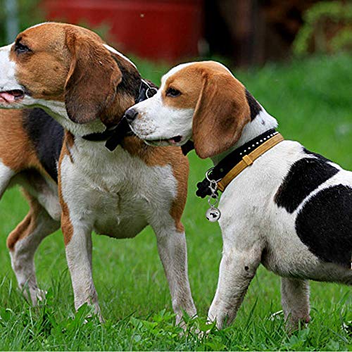 IVIA PET 4 Sets Cat Bell for Dog Collar Charm Training Pet Pendant Accessories with 2 Pack Stainless Steel Dog Tag Clips(2 Large Silver) - Thumbnail 2