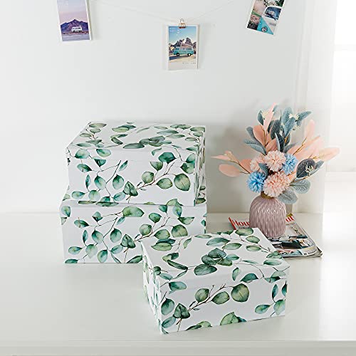 Soul & Lane B099SF9M5T_CA NARF Decorative Cardboard Boxes For Home Décor - Eucalyptus Leaves thumb #3