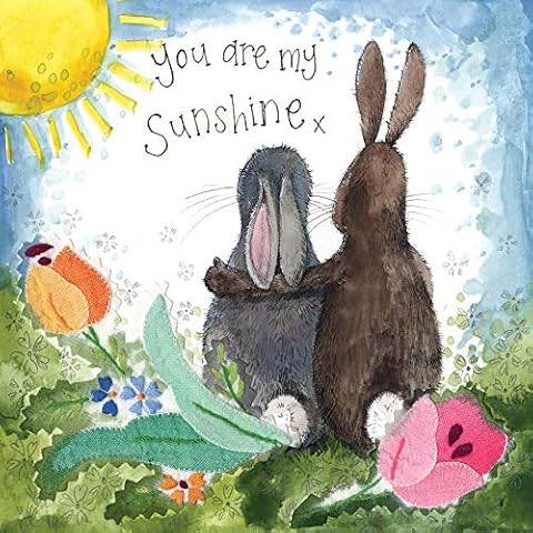 ALEX CLARK You are My Sunshine Rabbit Foiled Card Cover