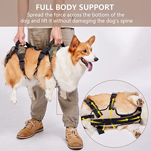 Coodeo Dog Lift Harness, Full Body Support & Recovery Sling, Pet Rear Leg Support Rehabilitation Lifts Vest, Dog Carrier… - Image 5