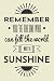 Remember Youre The One Who Can Fill The World With Sunshine: Inspirational Notebook and Journal to Match Your Personality (Medium Design with Blank And Ruled Alternating Pages)