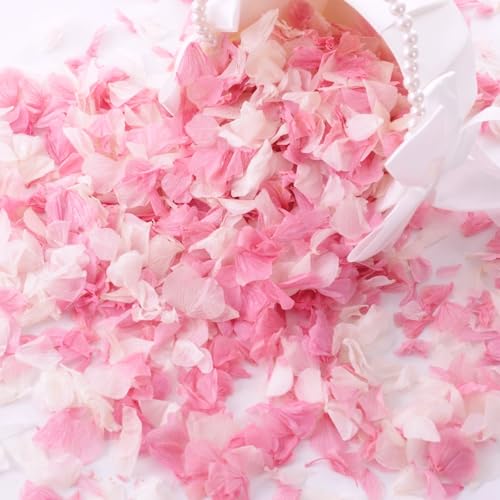 Oning Hydrangea Petals