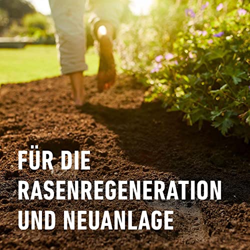 Rasenerde Compo Sana zur Regeneration von Rasenflächen
