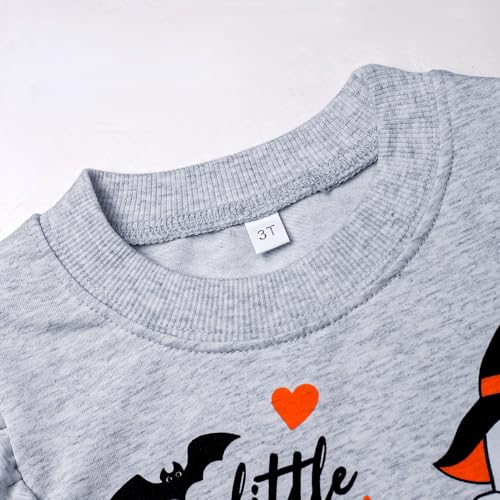 Image of Little Girls 2 Piece Outfits Ruffle Sleeve Unicorn Sweatshirts Top and Leggings Set School Outfits Kids Clothing Set