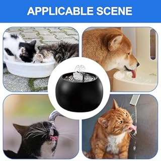 Fontana Acqua Per Gatti/Cani Ricaricabile USB-C, Filtro 5 Strati Con Sensore 3D, Serbatoio 1L, Ceramica Antigraffio - Idratante Automatico Per Interni/Esterni