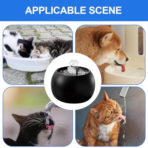 Bebedero para con filtro recargable y fuente para perros con sensor 3D 5