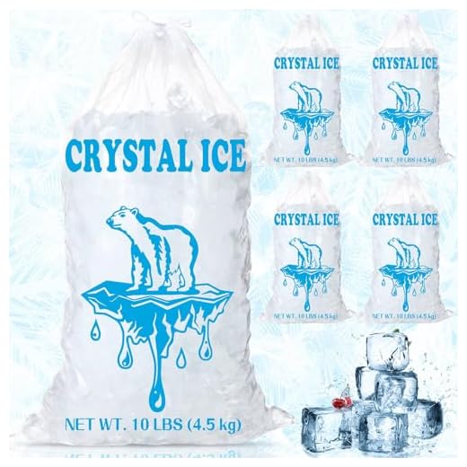 Can you take ice pack in carry on luggage Heavy Duty Reusable Ice Cube Bags