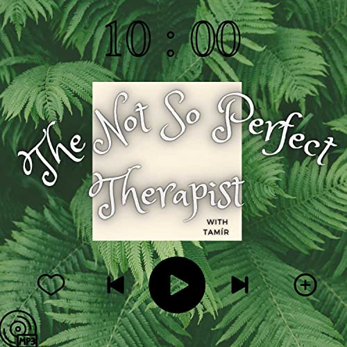 The Not So Perfect Therapist copertina