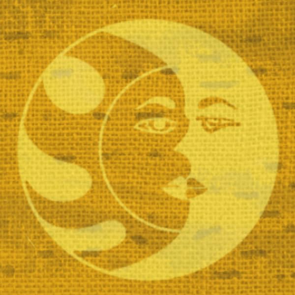 Miniatura 9 de Nuevo Orgaanika Andes Cusco (Perú) 12oz  Orgánico Gourmet  Origen único de especialidad  Granos enteros  Todos los métodos de elaboración, bien