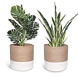 Vielseitig einsetzbar: geeignet für Aufbewahrungsboxen wie Kleinteile, wie Kleidung, Spielzeug, Bücher usw. Leicht zu bewegen, faltbar und platzsparend, wenn Sie es nicht verwenden.