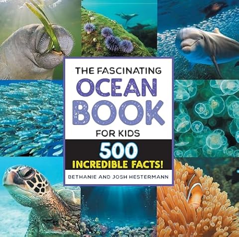 The Fascinating Ocean Book for Kids: 500 Incredible Facts! (Fascinating Facts)