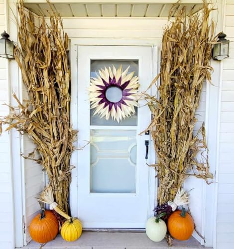Dried Corn Stalks Bundle for Fall Decor or Display - Thanksgiving, Halloween & Autumn - Corn Shucks (12 Stalks) - We Do NOT Ship to California - 34.99