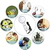 10-Pack Magnifying Glass Set With Lanyards - 10X & 5X Dual Lens Handheld Magnifiers For Reading & Exploration