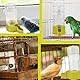 GYWHOOFT Wasserspender utomatischer Trinkflaschen,Fassungsvermögen 140 ml Wasserspender Vögel, Automatisches Trinkwasser, automatische Fütterung, für Pet Bird Parrot Pigeon(Grün)