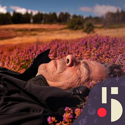 La sieste, souhaitable ou pas? (EN REDIFFUSION) cover art