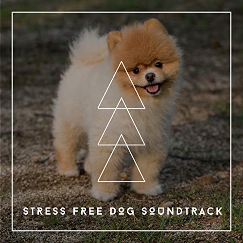 amazon-music-relaxing-dog-chillout-music-to-reduce-doggy-anxiety