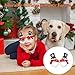 JPM Christmas Glitter Party Headbands and Glasses Frames with 24 Cute Designs Decoration Accessories with Assorted Design for Christmas Party Favors Holiday Favors (One Size Fits All)