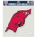 WinCraft NCAA Arkansas Razorbacks Die-Cut Color Decal, 8