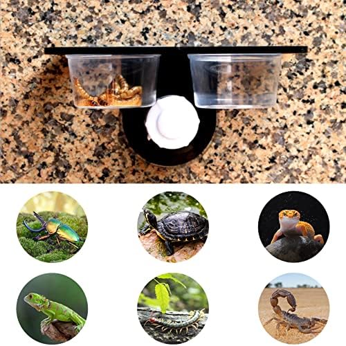Jetisva 2pcs Reptile Water and Food Bowl Crested Gecko Feeding Ledge Plastic Suction Cup Reptile Water Dish Reptile Feeder for Lizard Chameleon Turtle Tortoise Snake Scorpion Centipede Fits Tank