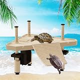 Sonnenplattform Schildkröten, Schwimmende Schildkröten Pier, M