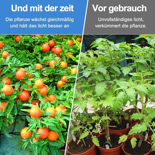 Elastisches Netz SCROG/Netz für besseres Pflanzenwachstum (120 x 120 cm) 5 Elastisches Netz SCROG/Netz für besseres Pflanzenwachstum (120 x 120 cm) – Bild 5