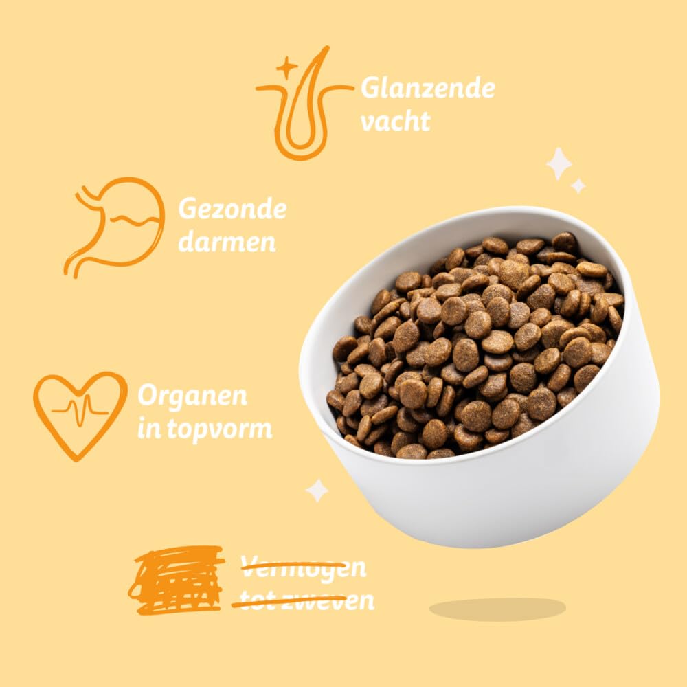 Edgard & Cooper Nourriture végétale pour chien Carotte - Courgettes 1 kg