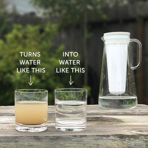 Image of LifeStraw Home - Replacement Membrane Microfilter Filter for protection against bacteria, parasites, microplastics, PFAS and 30+ contaminants