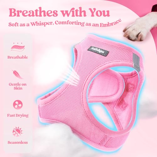 Image of rabbitgoo Dog Harness Medium Sized and Leash Set, Step-in Puppy Pet Vest