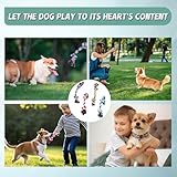 CATOR 4-teiliges Set welpen Spielzeug, beißfestes Zahnen welpen Spielzeug, Kauen für mittlere und große Hunde und Welpen welpen Spielzeug.