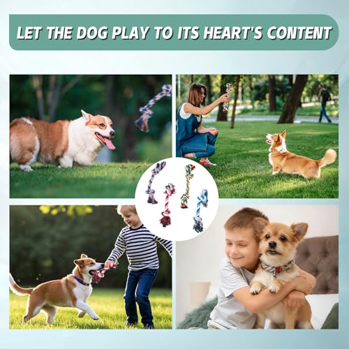 CATOR 4-teiliges Set welpen Spielzeug, beißfestes Zahnen welpen Spielzeug, Kauen für mittlere und große Hunde und Welpen welpen Spielzeug.