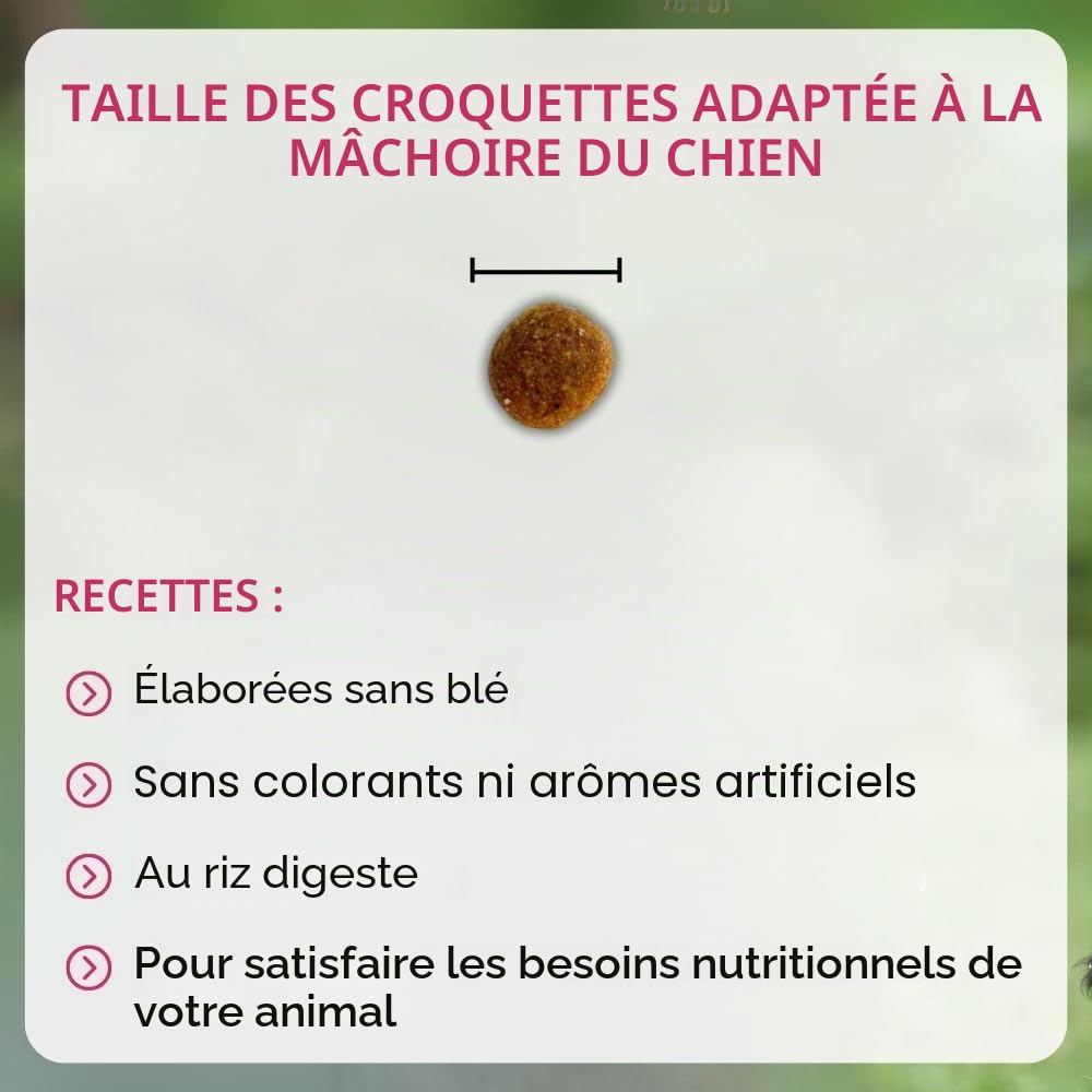 NUTRIVET - Super Premium - Junior Large - Croquettes sans Blé - Chiot - Riche en Protéines Animales - 15 kg