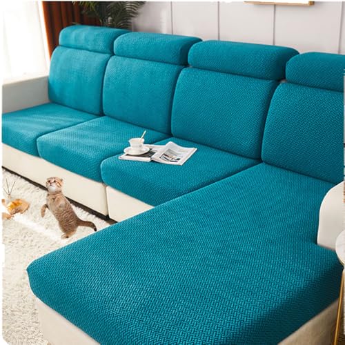 \t@[wJo[ NbVJo[ L JE`Jo[ Lkf ho kX^C   L  h~ [֗ lGʗp Mܐ s[RbNu[ [WTCY3l|