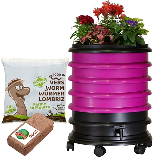 WormBox | Wormery Worm Farm composter 4 Raspberry Trays + Planter + 500gr of Compost Worms / 1000 ctn + 1 Coco | 64 liters | Organic Waste Compost, make your Worm Castings