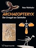 solnhofener plattenkalk alter  Archaeopteryx: Der Urvogel von Solnhofen