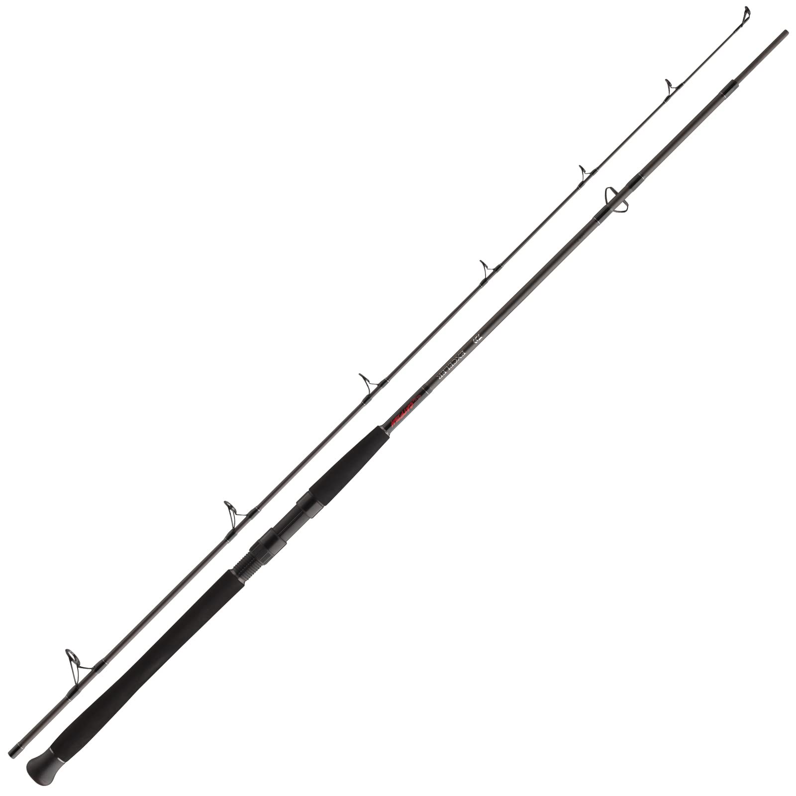 Daiwa Exceler Catfish Spin, 2 Sezioni, Canna da Pesca al Siluro
