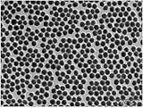 Alpha Nanotech Inc.