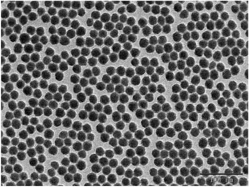 Nanoparticules de silice colloïdale Alpha Nanotech 20 nm en solution de 10 ml
