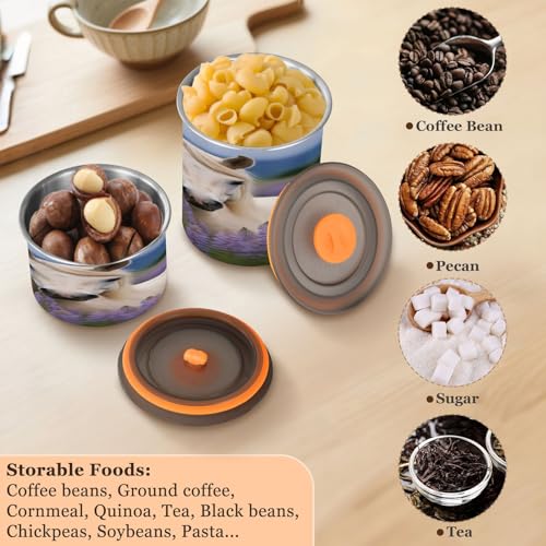 Contenedor hermético acero inoxidable para café 500ml miniatura 5