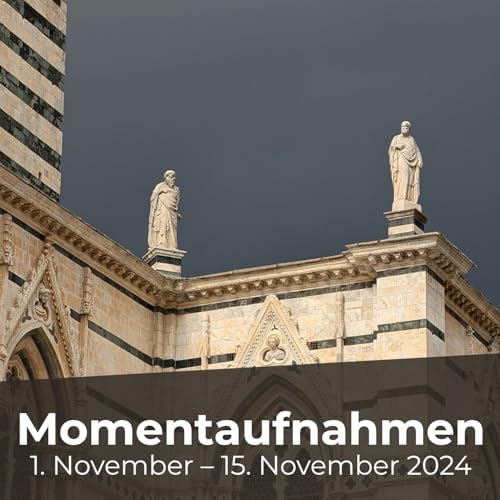 『Momentaufnahmen, 1. November – 15. November 2024』のカバーアート