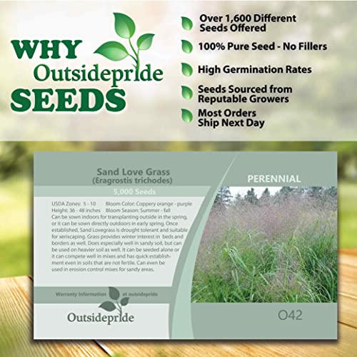 Outsidepride Eragrostis Trichodes Sand Love Grass Ornamental Grass For Sandy Soils & Erosion Control - 5000 Seeds #TOP3