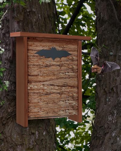 Cedar Alpha CA3051 Best Large Bat House cover