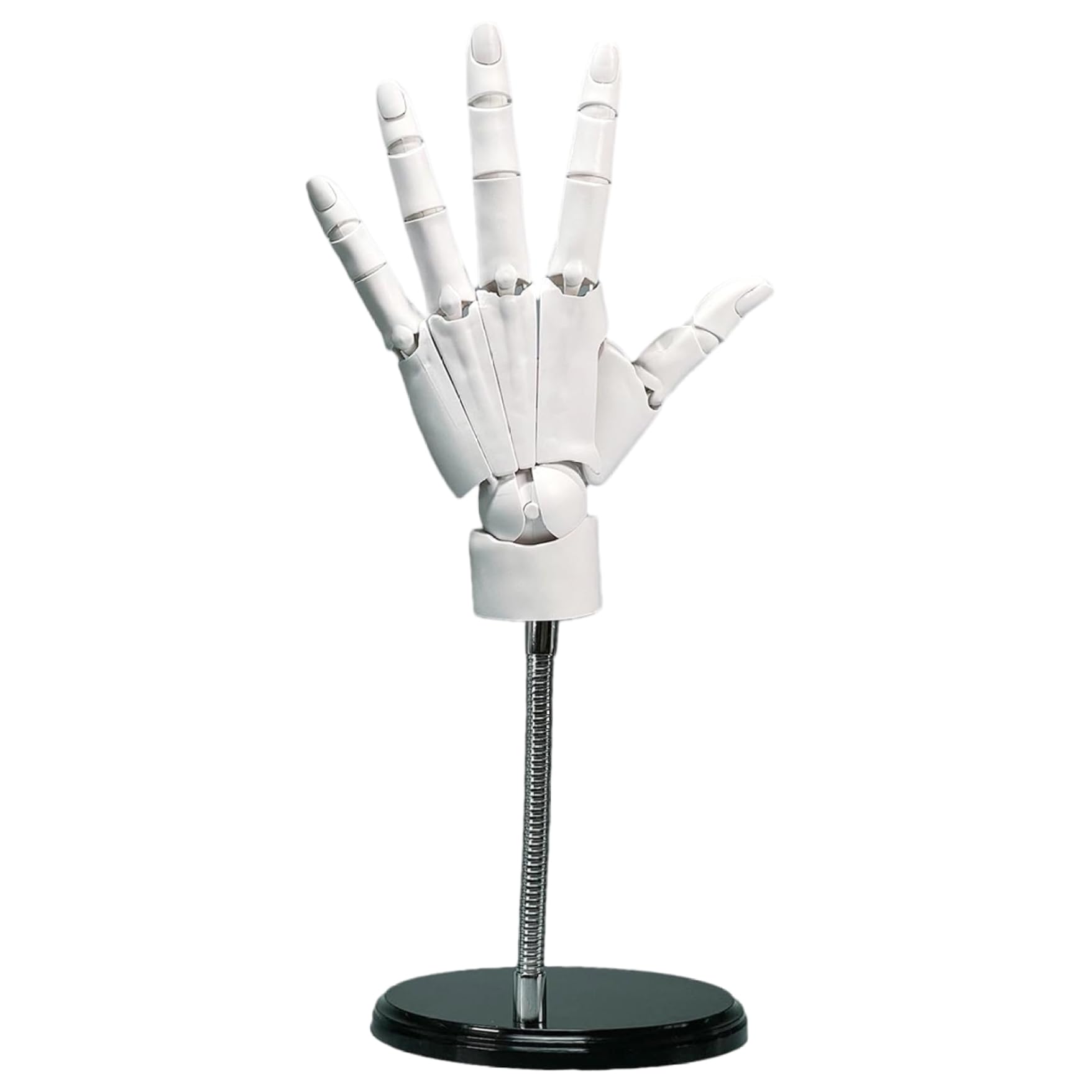 Main articulée 1:1 8x14 pouces, modèle main gauche pour dessin, peinture, croquis, blanc, avec base articulée mobile, modèle en PVC convivial pour le bricolage