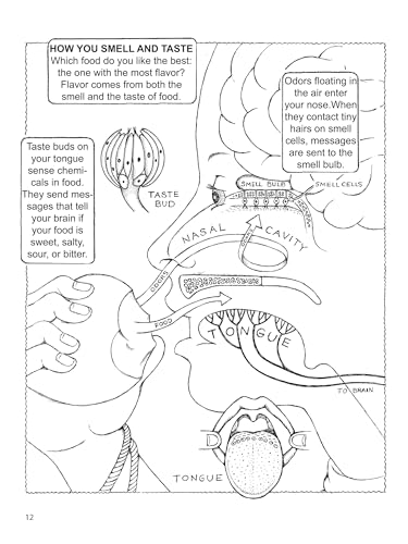 Dover Publications ILLUSTRATIONS My First Book About The Brain thumb #4